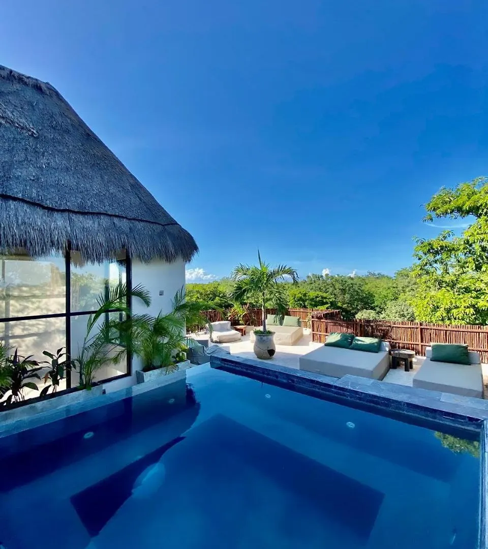 Apartment Luxury Jungle Penthouse With Private Rooftop Pool Chemuyil Mexico