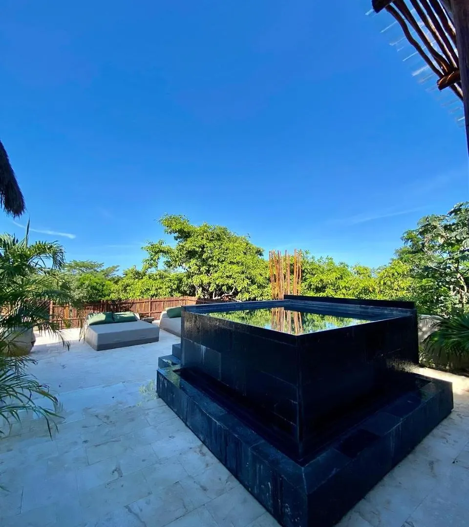 Apartment Luxury Jungle Penthouse With Private Rooftop Pool Chemuyil