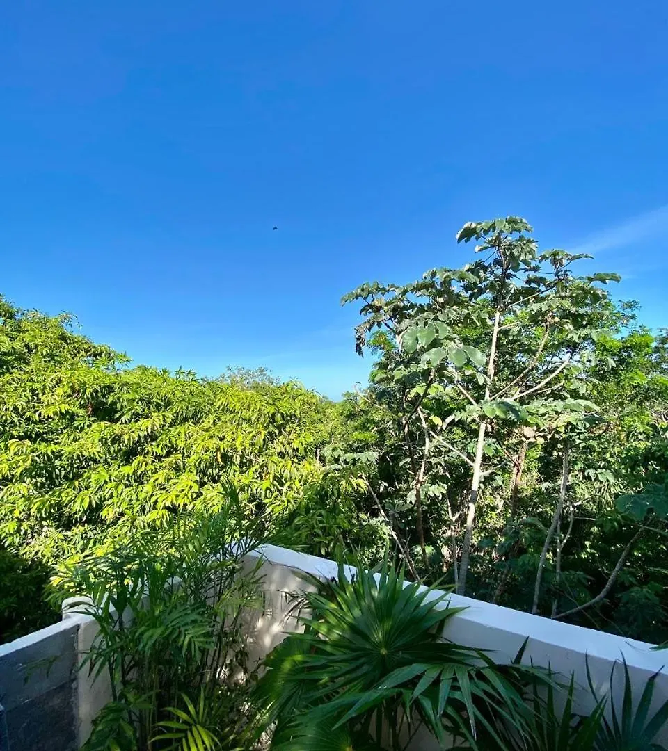 Luxury Jungle Penthouse With Private Rooftop Pool Chemuyil 0*,