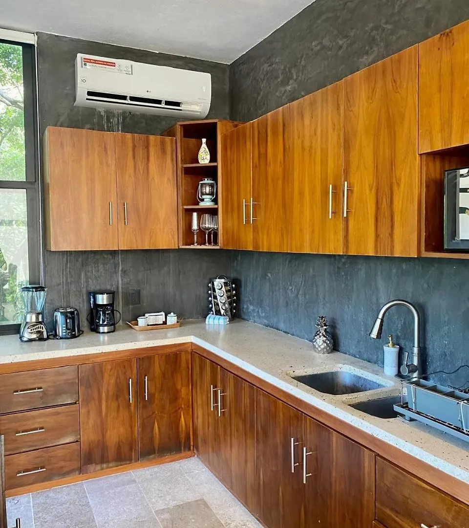 Apartment Luxury Jungle Penthouse With Private Rooftop Pool Chemuyil