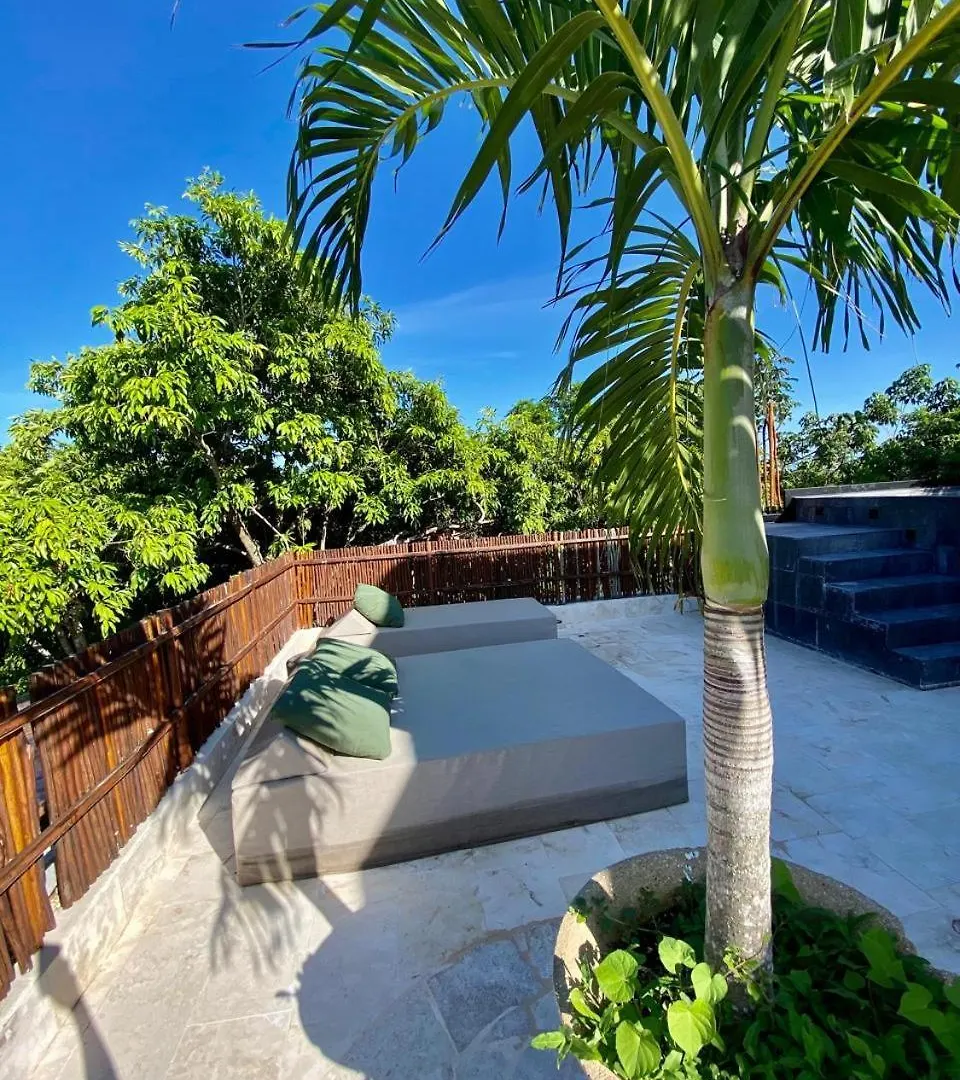 Luxury Jungle Penthouse With Private Rooftop Pool Chemuyil Mexico